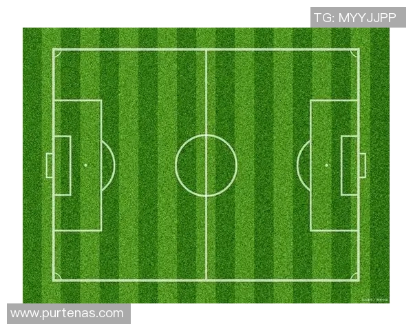 探索标准足球场的设计理念与国际比赛的场地要求解析