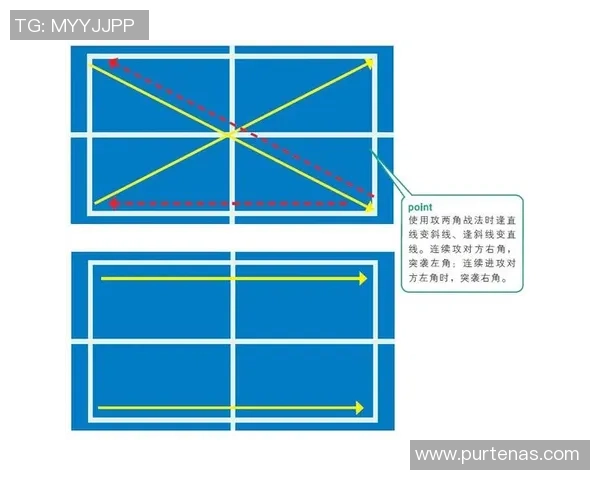 深圳乒乓球队的防反战术解析与深度剖析探秘之旅