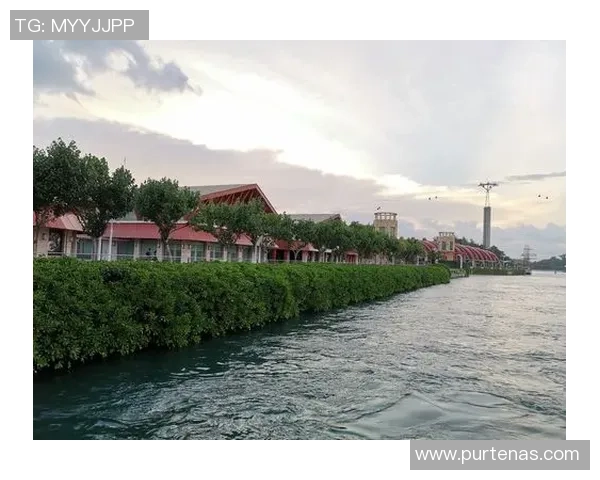 深圳飞盘队心理素质分析与表现研究探讨 深圳飞盘队心理素质分析与表现研究探讨