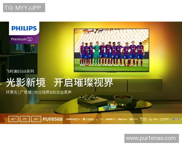 足球明星复仇时刻回顾精彩瞬间重燃激情与荣耀的对决