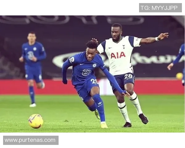 足球明星在赛场上的技艺与表现分析探讨