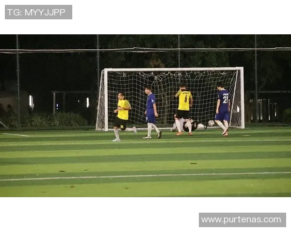 足球明星携手挑战综艺极限赛场精彩瞬间大揭秘