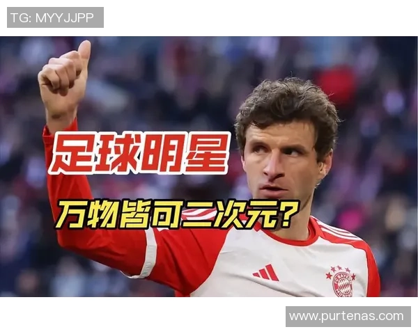 足球明星的辉煌历程与人生起伏探秘之旅